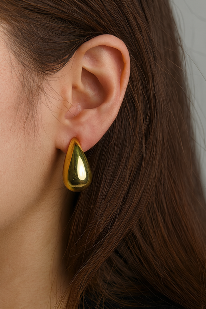 Sleek Polished Earrings